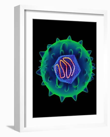 Hepatitis C Virus, Artwork-Mehau Kulyk-Framed Photographic Print