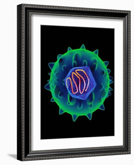 Hepatitis C Virus, Artwork-Mehau Kulyk-Framed Photographic Print