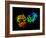 Hepatitis C Virus Enzyme, Molecular Model-Laguna Design-Framed Photographic Print