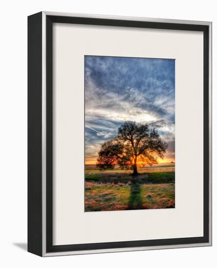 'Her Evening Elegance' Framed Photographic Print - Trey Ratcliff | Art.com