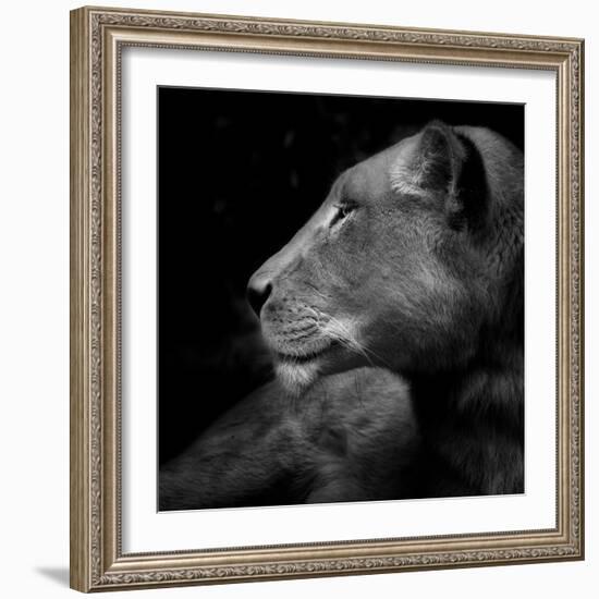 Her Majesty-Ruud Peters-Framed Photographic Print