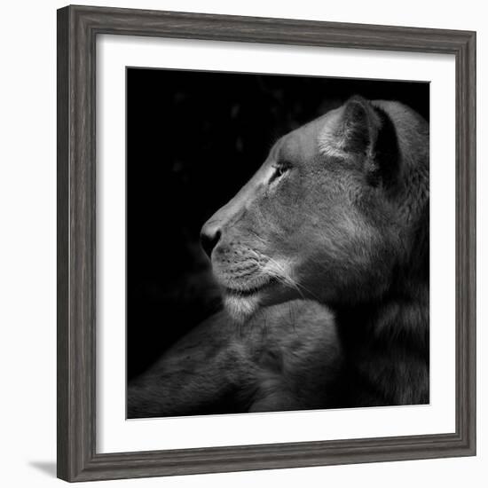 Her Majesty-Ruud Peters-Framed Photographic Print