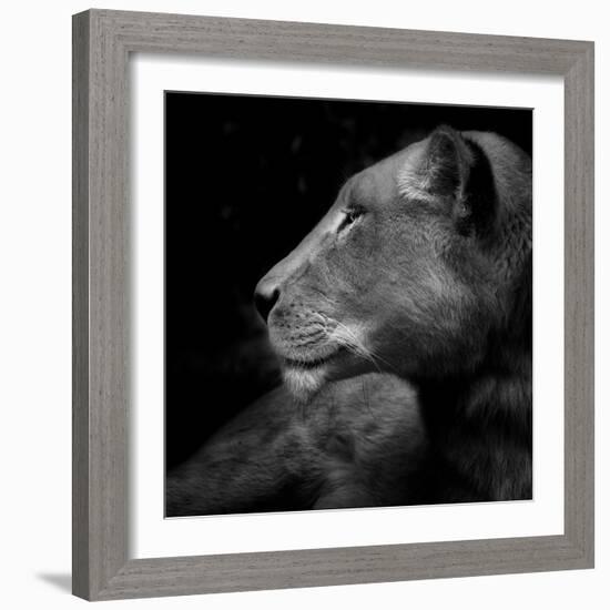 Her Majesty-Ruud Peters-Framed Photographic Print