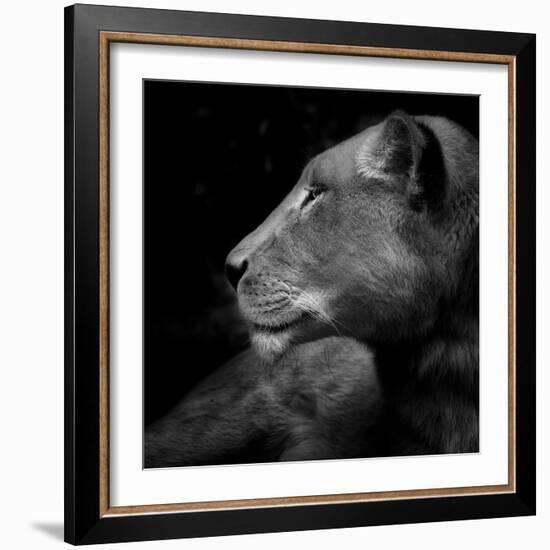 Her Majesty-Ruud Peters-Framed Photographic Print