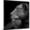 Her Majesty-Ruud Peters-Mounted Photographic Print