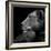 Her Majesty-Ruud Peters-Framed Photographic Print