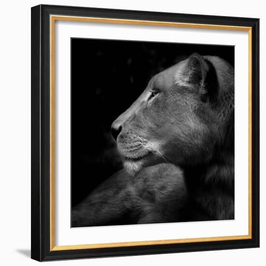 Her Majesty-Ruud Peters-Framed Photographic Print