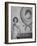 Her Royal Highness the Princess Elizabeth, England-Cecil Beaton-Framed Photographic Print