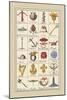 Heraldic Symbols: Crossbow and Escallop-Hugh Clark-Mounted Art Print