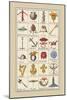 Heraldic Symbols: Crossbow and Escallop-Hugh Clark-Mounted Art Print