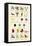 Heraldry - Charges-Hugh Clark-Framed Stretched Canvas