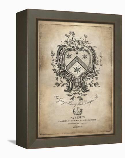 Heraldry IV-Oliver Jeffries-Framed Stretched Canvas