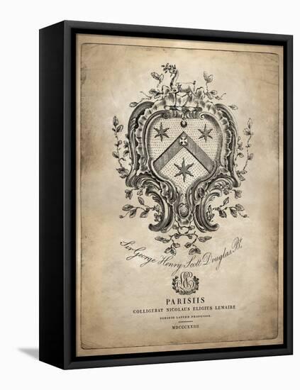 Heraldry IV-Oliver Jeffries-Framed Stretched Canvas