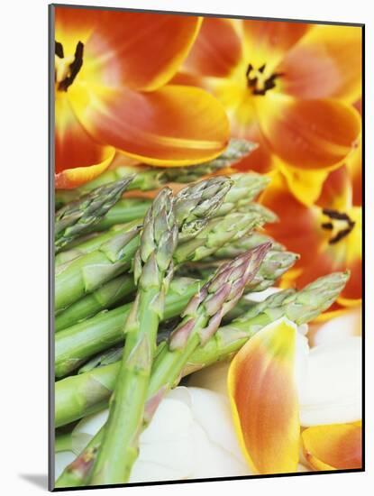 Heralds of Spring: Green Asparagus and Tulips-Linda Burgess-Mounted Photographic Print