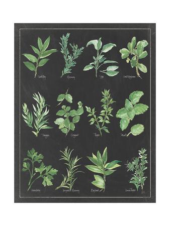 Herb Chart With Pictures