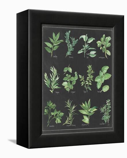 Herb Chart on Black White Border-null-Framed Stretched Canvas