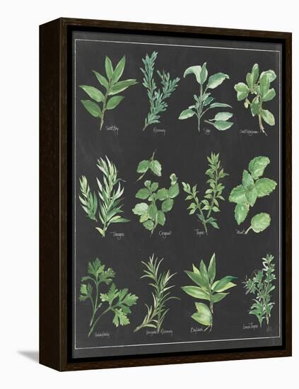 Herb Chart on Black White Border-null-Framed Stretched Canvas