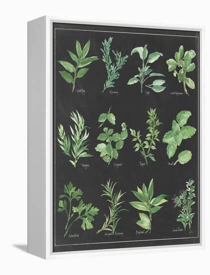 Herb Chart on Black White Border-null-Framed Stretched Canvas