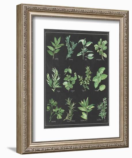 Herb Chart on Black White Border-null-Framed Premium Giclee Print