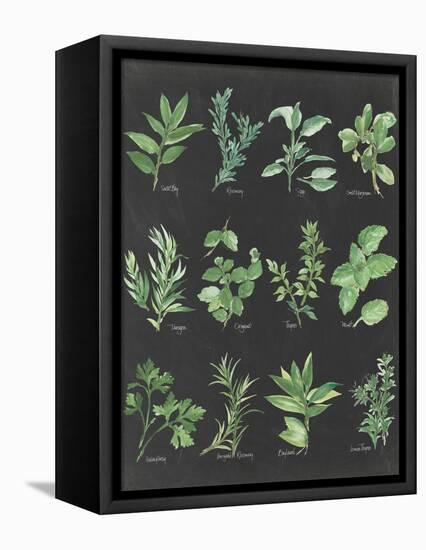 Herb Chart on Black-Chris Paschke-Framed Stretched Canvas