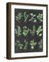 Herb Chart on Black-Chris Paschke-Framed Art Print