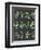 Herb Chart on Black-Chris Paschke-Framed Art Print