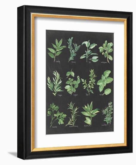 Herb Chart on Black-Chris Paschke-Framed Premium Giclee Print