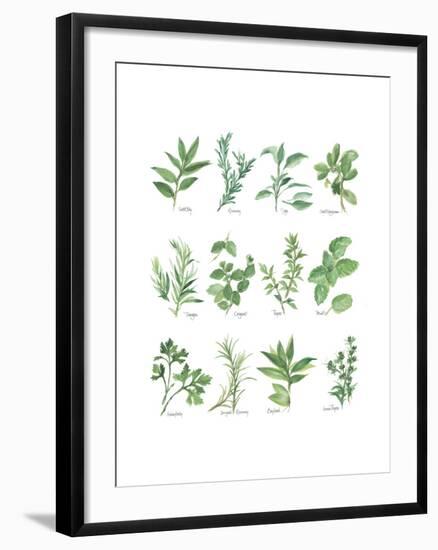 Herb Chart-Chris Paschke-Framed Art Print