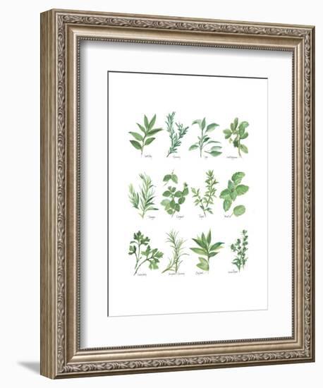 Herb Chart-Chris Paschke-Framed Art Print