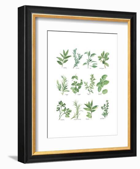 Herb Chart-Chris Paschke-Framed Art Print