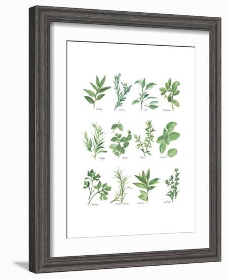 Herb Chart-Chris Paschke-Framed Art Print