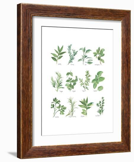 Herb Chart-Chris Paschke-Framed Art Print