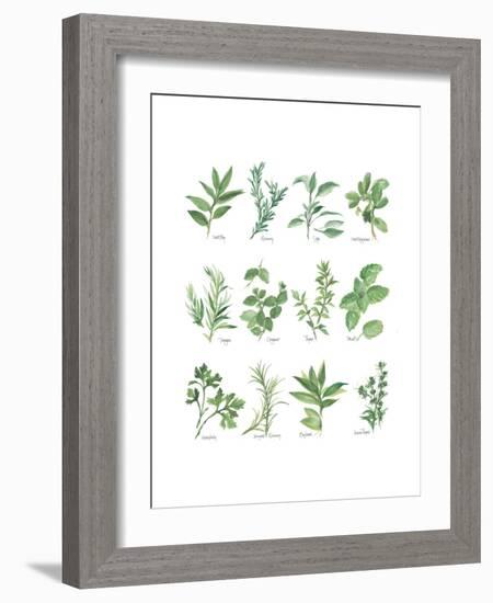 Herb Chart-Chris Paschke-Framed Premium Giclee Print