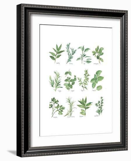 Herb Chart-Chris Paschke-Framed Premium Giclee Print