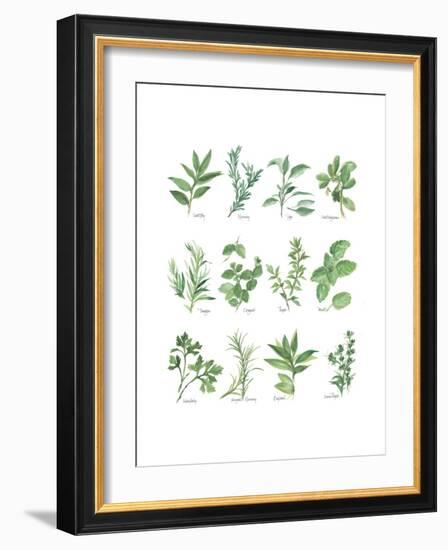 Herb Chart-Chris Paschke-Framed Premium Giclee Print