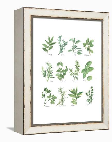 Herb Chart-Chris Paschke-Framed Stretched Canvas