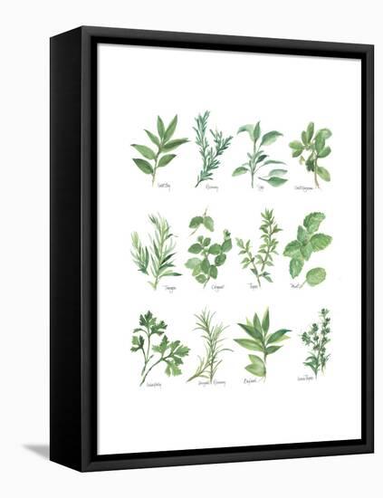 Herb Chart-Chris Paschke-Framed Stretched Canvas