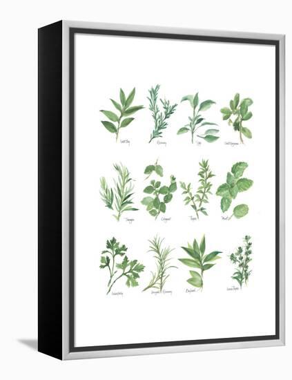 Herb Chart-Chris Paschke-Framed Stretched Canvas