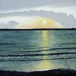 Sunset At Hilton Head-Herb Dickinson-Photographic Print