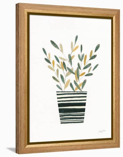 Herb Garden I-Courtney Prahl-Framed Stretched Canvas