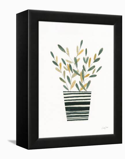 Herb Garden I-Courtney Prahl-Framed Stretched Canvas