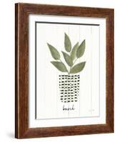 Herb Garden VII-Courtney Prahl-Framed Art Print
