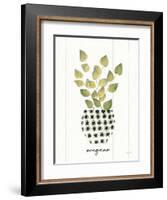 Herb Garden VIII-Courtney Prahl-Framed Art Print