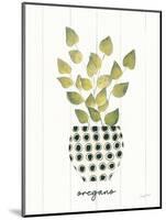 Herb Garden VIII-Courtney Prahl-Mounted Art Print