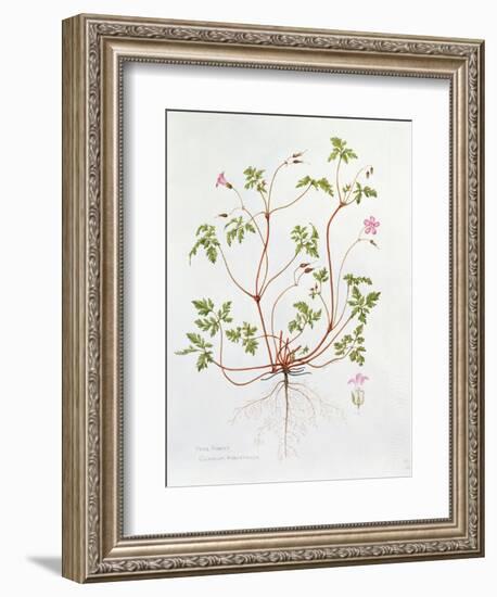 Herb Robert-Diana Everett-Framed Giclee Print