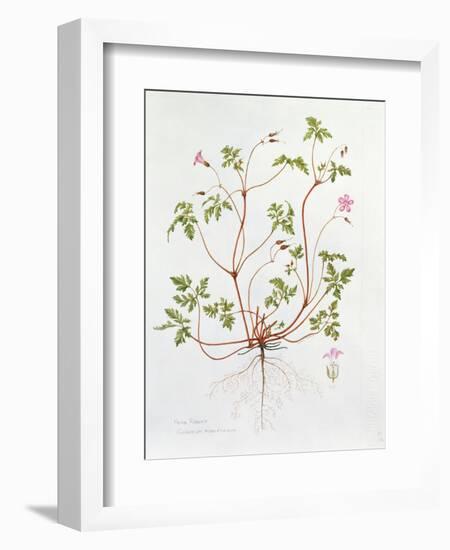 Herb Robert-Diana Everett-Framed Giclee Print