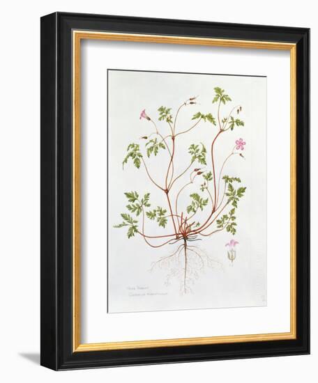 Herb Robert-Diana Everett-Framed Giclee Print