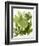 Herb Sauce with Fresh Herbs (Frankfurt Sauce)-Walter Cimbal-Framed Photographic Print