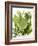 Herb Sauce with Fresh Herbs (Frankfurt Sauce)-Walter Cimbal-Framed Photographic Print