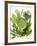 Herb Sauce with Fresh Herbs (Frankfurt Sauce)-Walter Cimbal-Framed Photographic Print